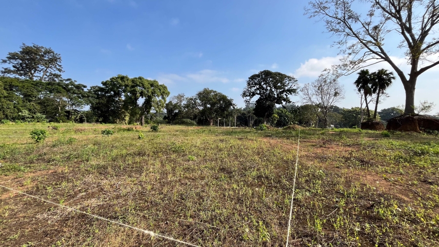 3 Bedroom Property for Sale in Westville Central KwaZulu-Natal
