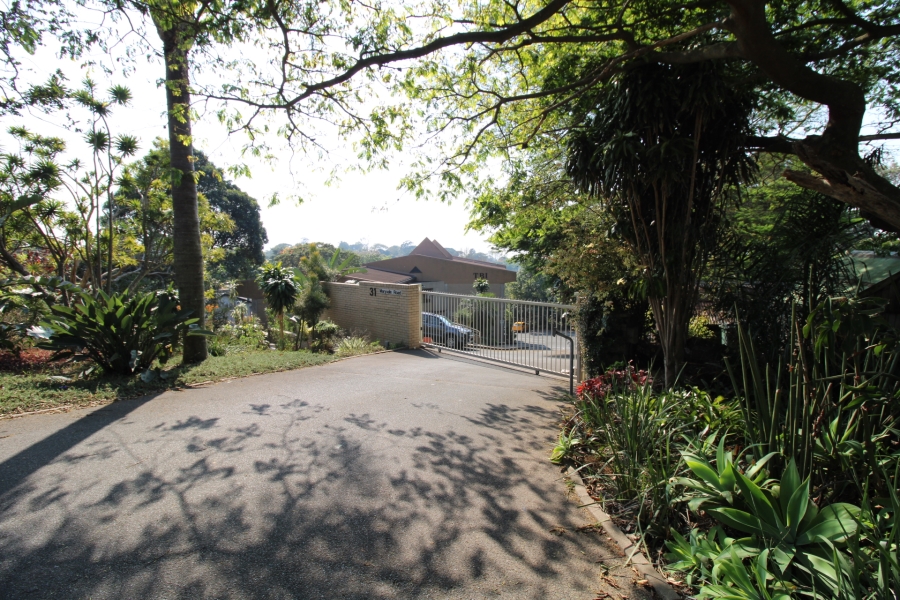 To Let Commercial Property for Rent in Dawncliffe KwaZulu-Natal