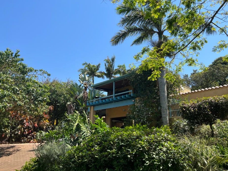 To Let 1 Bedroom Property for Rent in Mtunzini KwaZulu-Natal