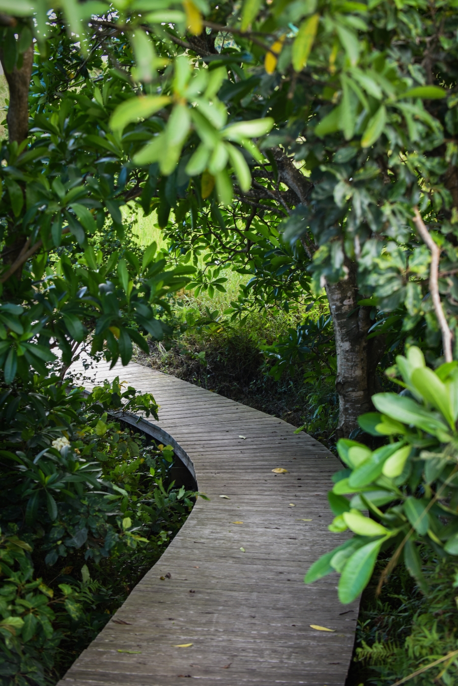 0 Bedroom Property for Sale in Zululami Coastal Estate KwaZulu-Natal