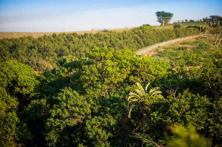 0 Bedroom Property for Sale in Sheffield Beach KwaZulu-Natal
