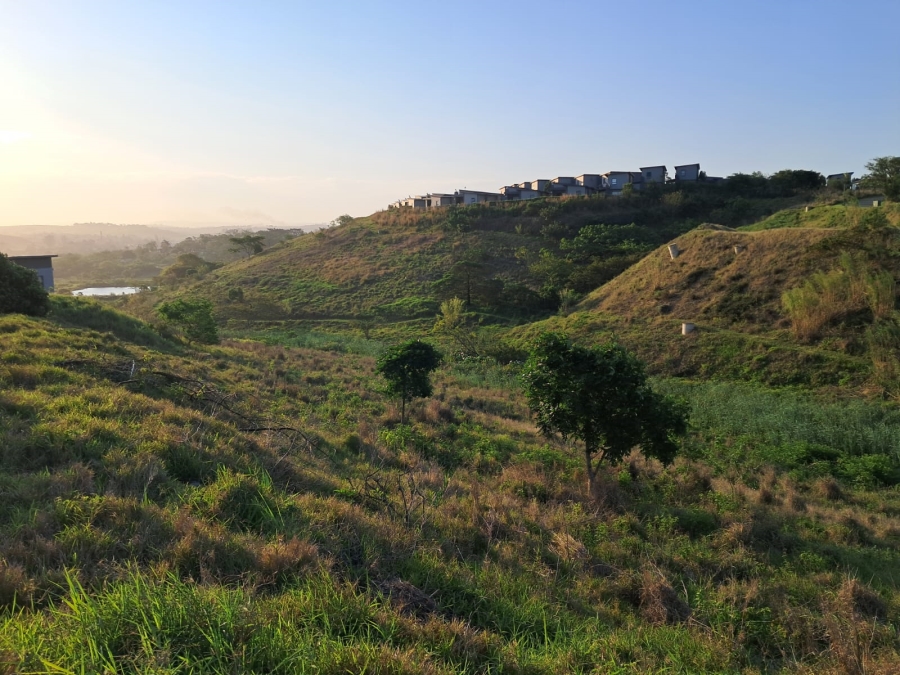 0 Bedroom Property for Sale in Palm Lakes Estate KwaZulu-Natal