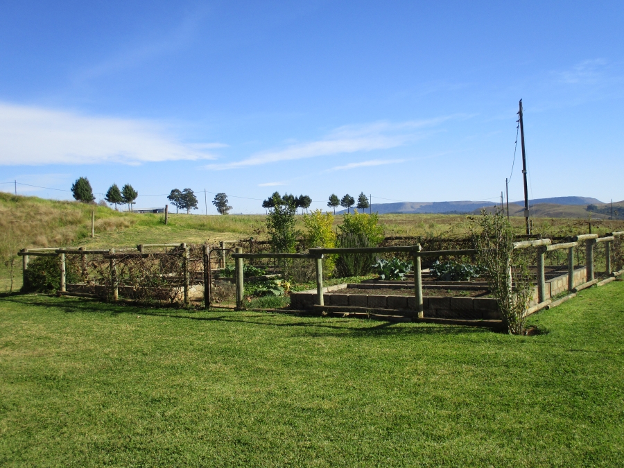 To Let 5 Bedroom Property for Rent in Dargle KwaZulu-Natal