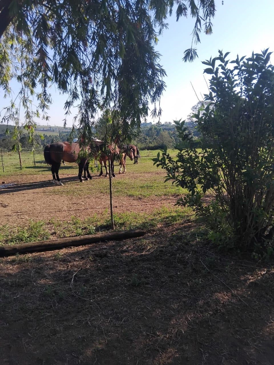 4 Bedroom Property for Sale in Bishopstowe KwaZulu-Natal