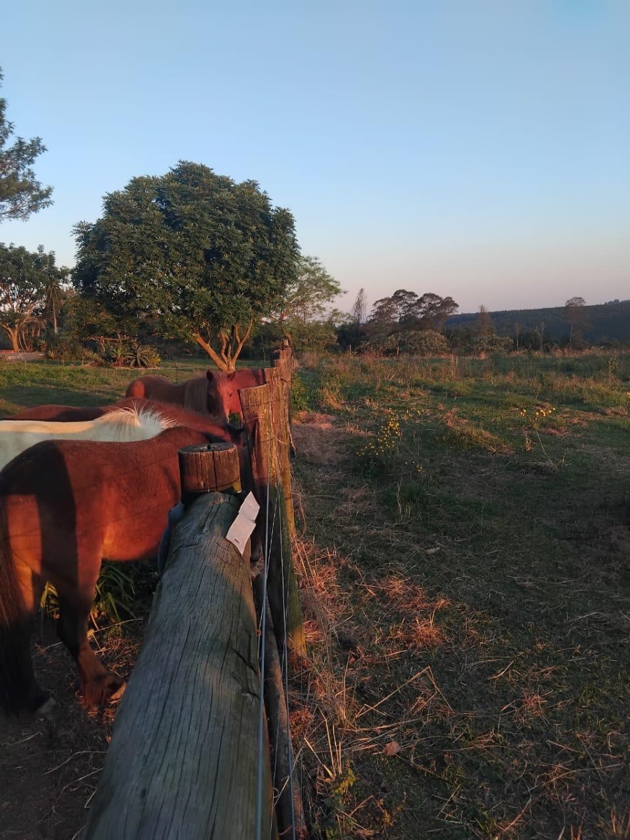 4 Bedroom Property for Sale in Bishopstowe KwaZulu-Natal