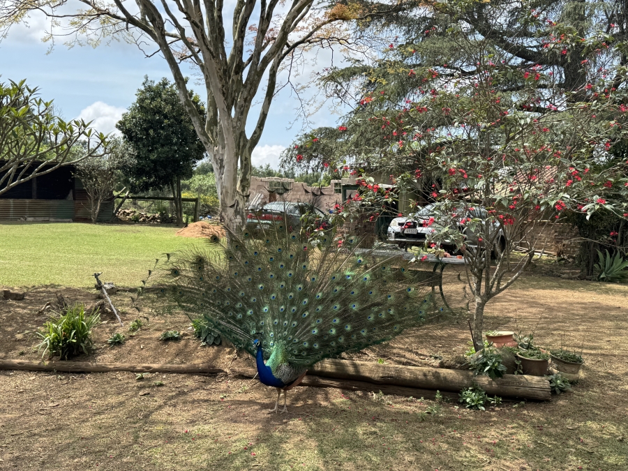 4 Bedroom Property for Sale in Bishopstowe KwaZulu-Natal