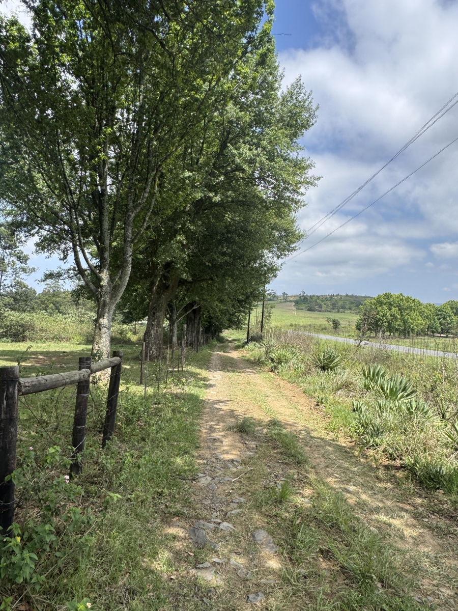 4 Bedroom Property for Sale in Bishopstowe KwaZulu-Natal