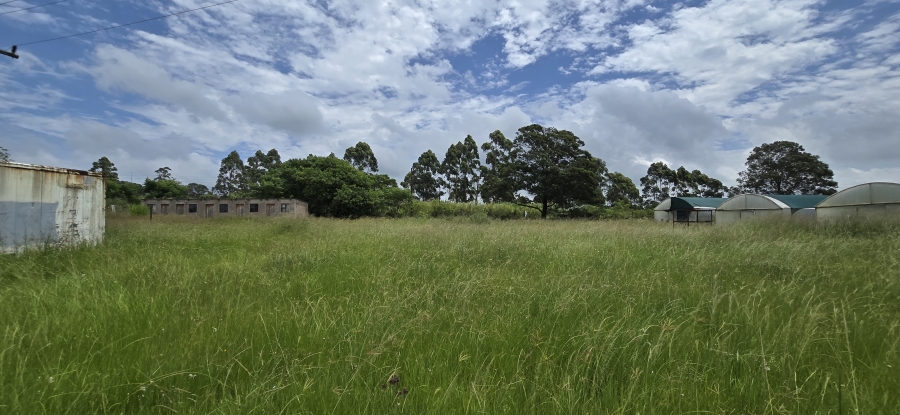 Commercial Property for Sale in Cato Ridge KwaZulu-Natal