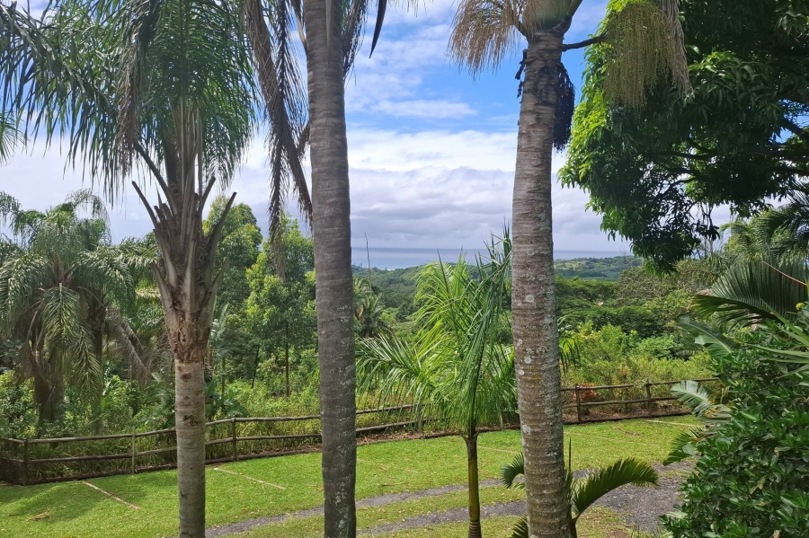 Commercial Property for Sale in Ramsgate KwaZulu-Natal