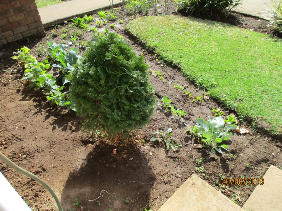 To Let 2 Bedroom Property for Rent in Howick KwaZulu-Natal