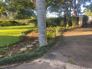 To Let 1 Bedroom Property for Rent in Westville Central KwaZulu-Natal