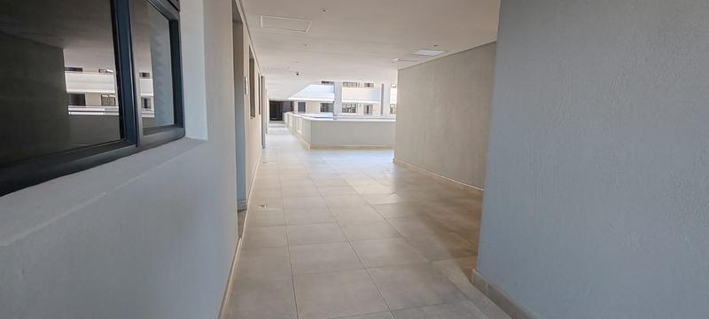 To Let 3 Bedroom Property for Rent in Musgrave KwaZulu-Natal