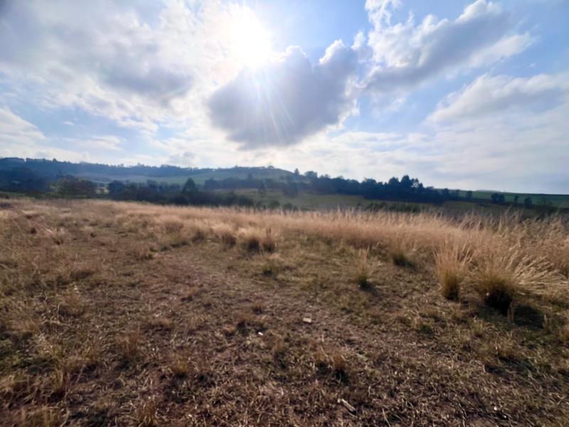 0 Bedroom Property for Sale in Bishopstowe KwaZulu-Natal