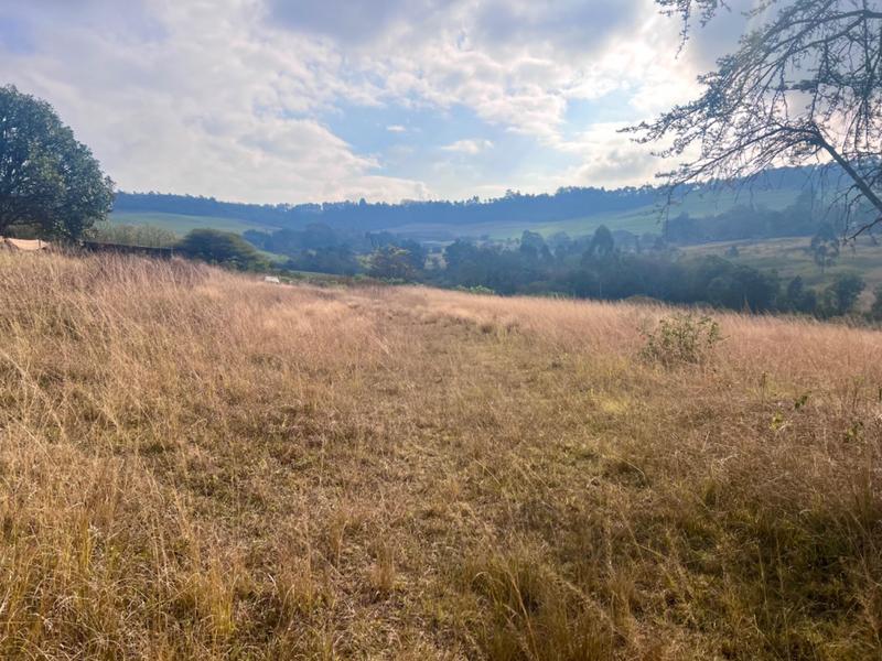 0 Bedroom Property for Sale in Bishopstowe KwaZulu-Natal