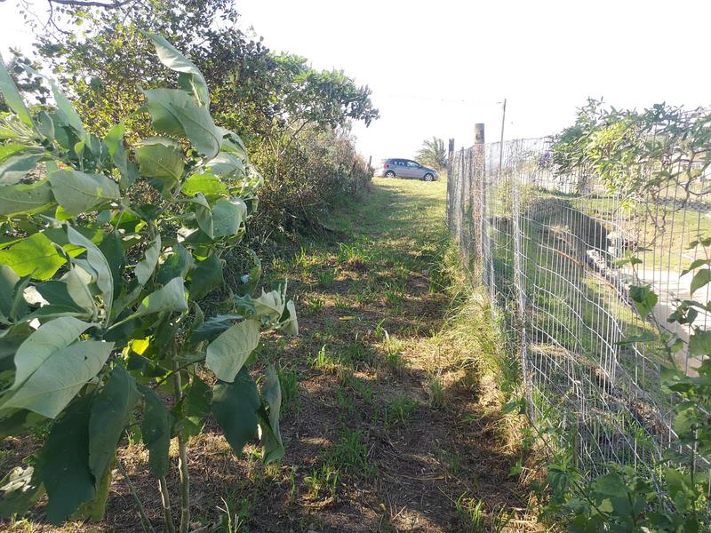 4 Bedroom Property for Sale in Umgababa KwaZulu-Natal