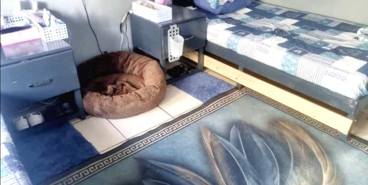 7 Bedroom Property for Sale in Veld En Vlei KwaZulu-Natal