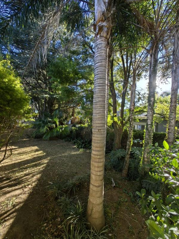 4 Bedroom Property for Sale in Newcastle KwaZulu-Natal