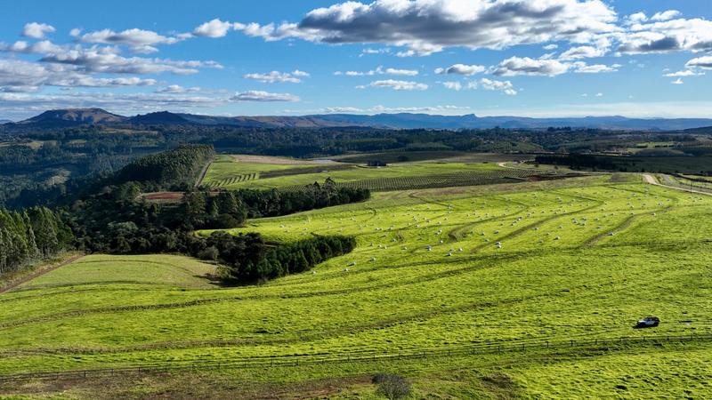 0 Bedroom Property for Sale in Mount Verde KwaZulu-Natal