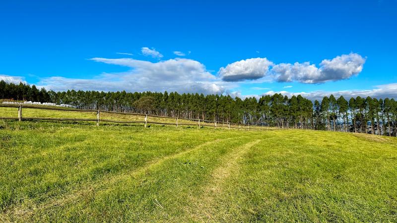 0 Bedroom Property for Sale in Mount Verde KwaZulu-Natal