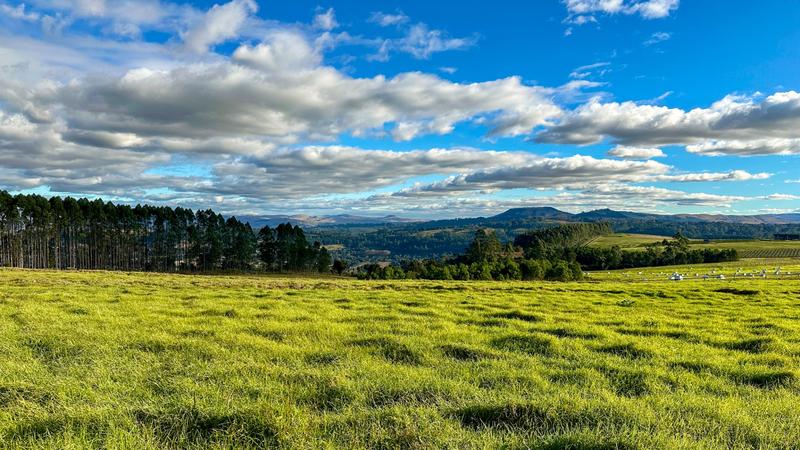 0 Bedroom Property for Sale in Mount Verde KwaZulu-Natal