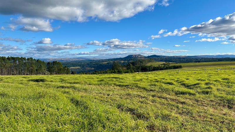 0 Bedroom Property for Sale in Mount Verde KwaZulu-Natal