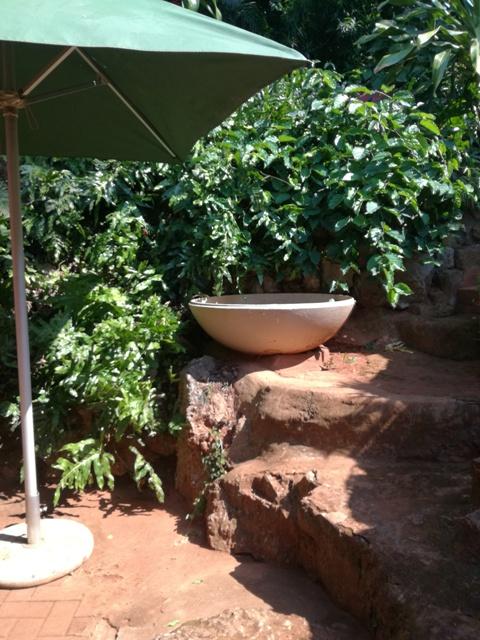 To Let 1 Bedroom Property for Rent in Mtunzini KwaZulu-Natal