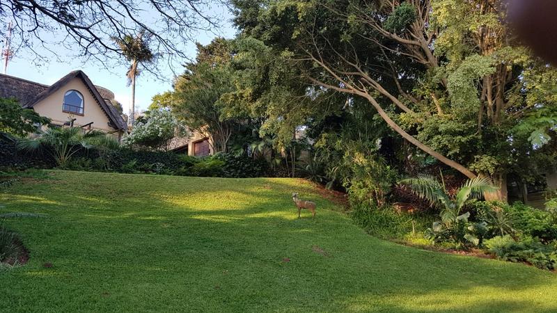 8 Bedroom Property for Sale in Mtunzini KwaZulu-Natal