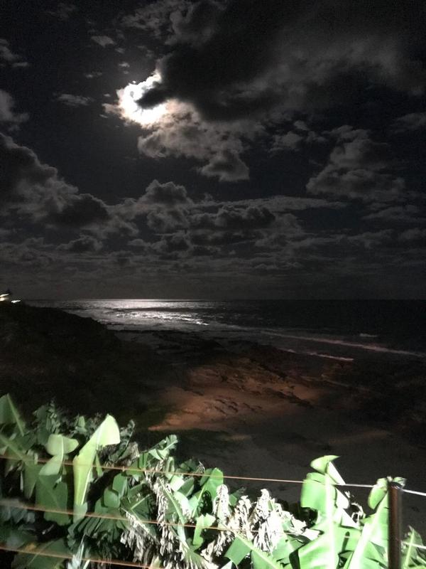 To Let 4 Bedroom Property for Rent in Sheffield Beach KwaZulu-Natal