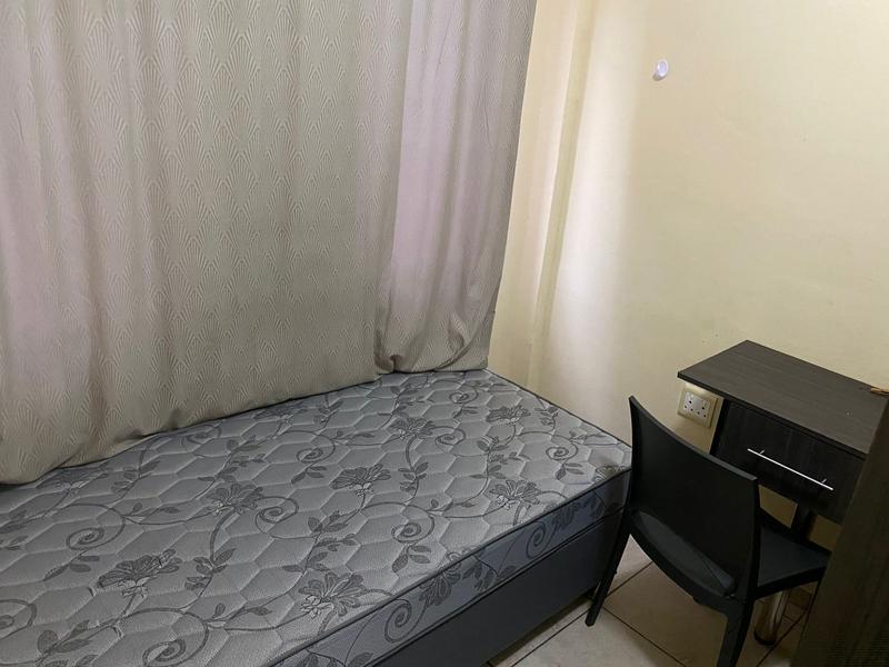 To Let 3 Bedroom Property for Rent in Musgrave KwaZulu-Natal