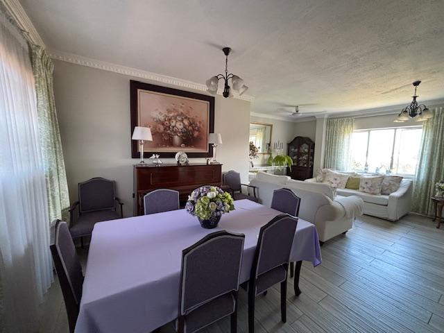 2 Bedroom Property for Sale in Glenwood KwaZulu-Natal
