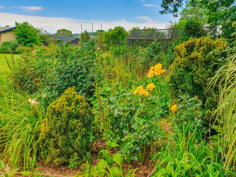 3 Bedroom Property for Sale in Underberg KwaZulu-Natal