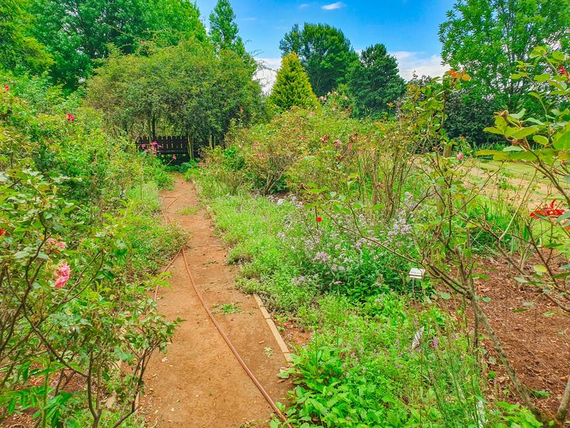3 Bedroom Property for Sale in Underberg KwaZulu-Natal