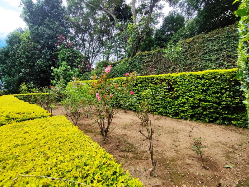 5 Bedroom Property for Sale in Wembley KwaZulu-Natal