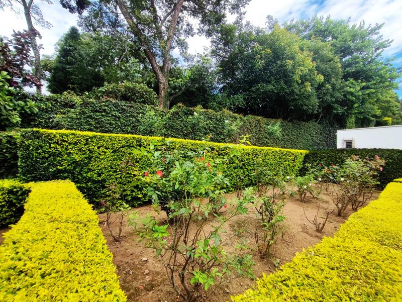 5 Bedroom Property for Sale in Wembley KwaZulu-Natal
