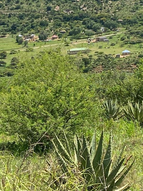3 Bedroom Property for Sale in Greytown KwaZulu-Natal