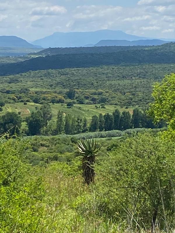 3 Bedroom Property for Sale in Greytown KwaZulu-Natal