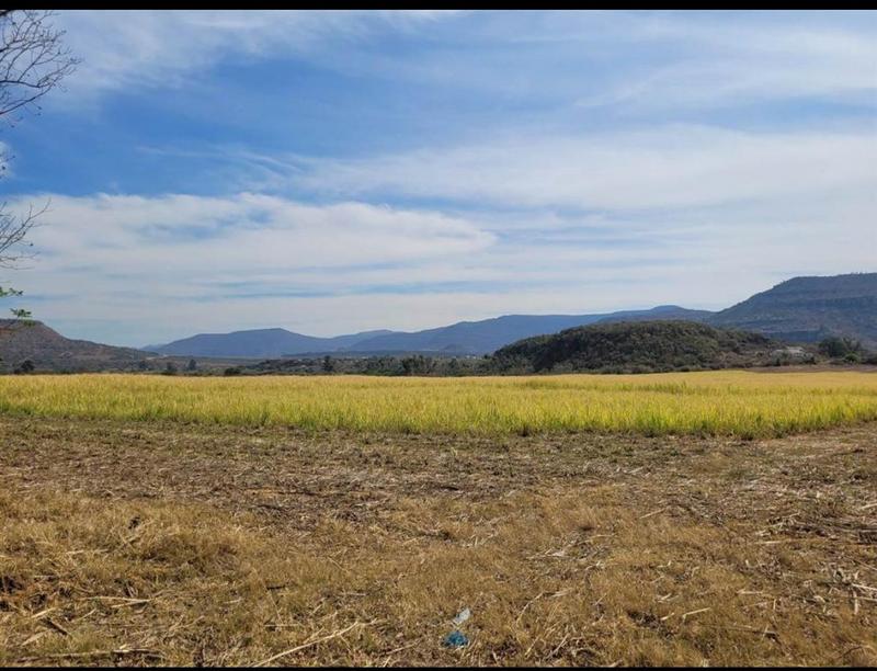 3 Bedroom Property for Sale in Greytown KwaZulu-Natal