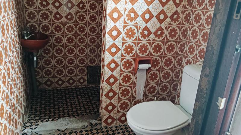 To Let 4 Bedroom Property for Rent in Westville KwaZulu-Natal