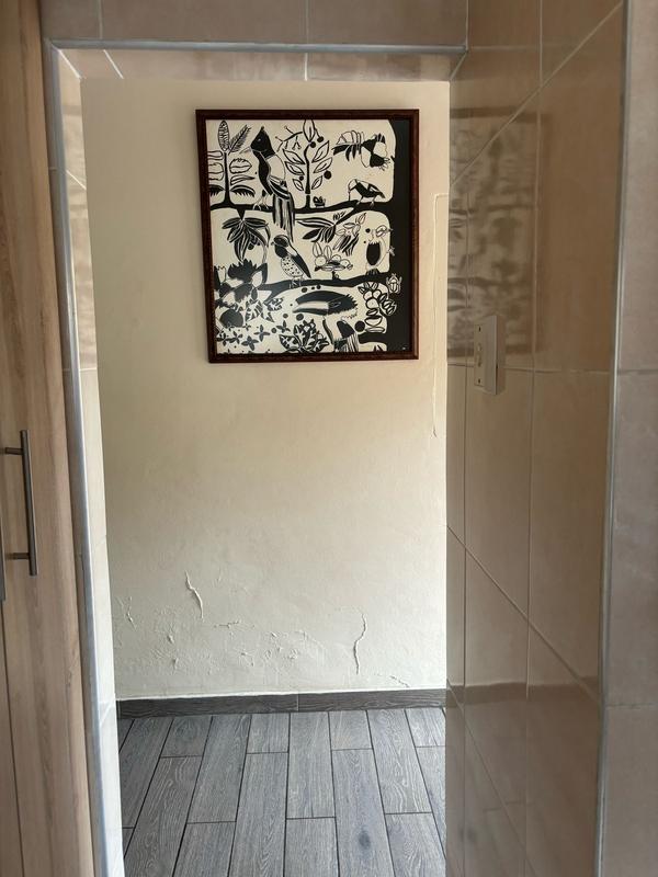 To Let 3 Bedroom Property for Rent in Arboretum KwaZulu-Natal