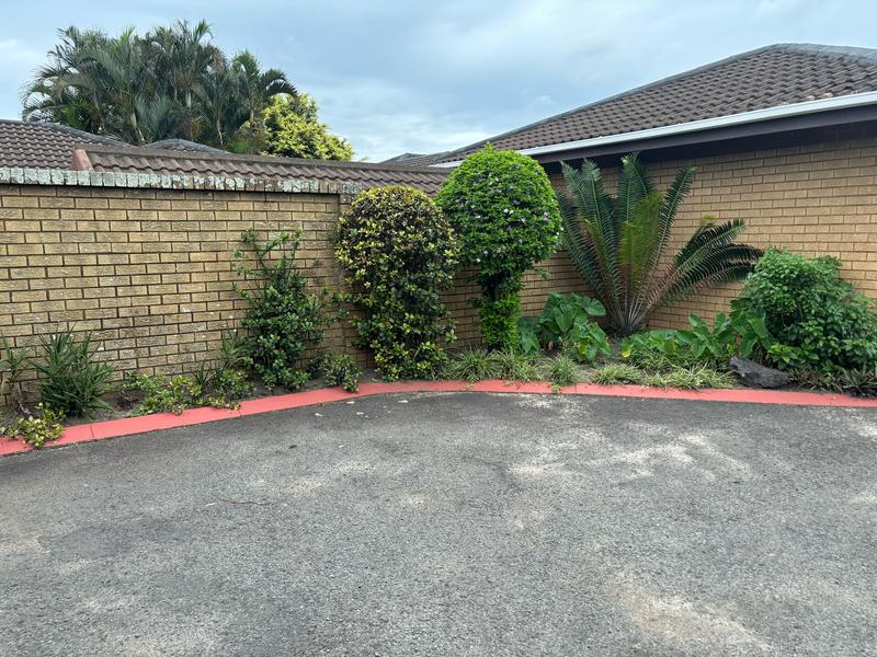 To Let 3 Bedroom Property for Rent in Arboretum KwaZulu-Natal
