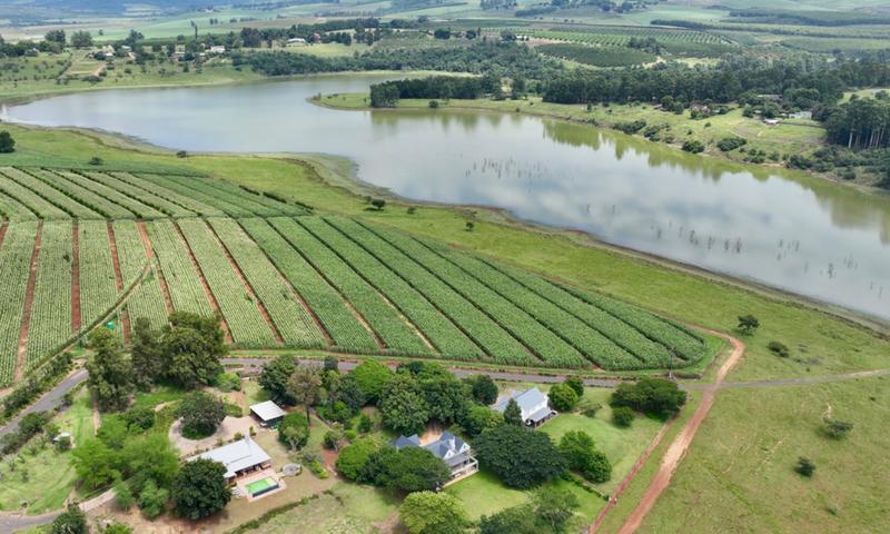 5 Bedroom Property for Sale in Albert Falls KwaZulu-Natal