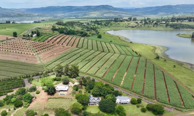5 Bedroom Property for Sale in Albert Falls KwaZulu-Natal