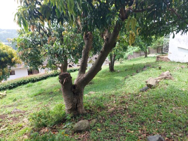 3 Bedroom Property for Sale in Umkomaas KwaZulu-Natal