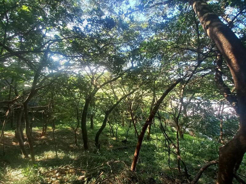 0 Bedroom Property for Sale in Simbithi Eco Estate KwaZulu-Natal