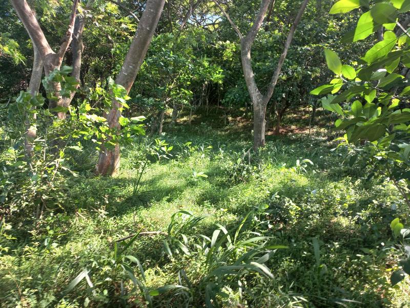 0 Bedroom Property for Sale in Simbithi Eco Estate KwaZulu-Natal