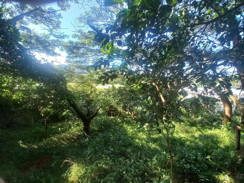 0 Bedroom Property for Sale in Simbithi Eco Estate KwaZulu-Natal