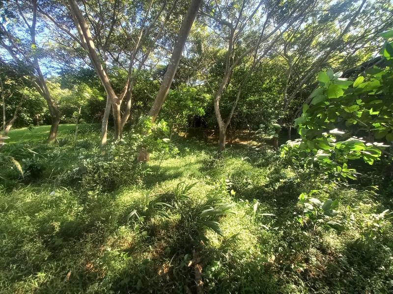 0 Bedroom Property for Sale in Simbithi Eco Estate KwaZulu-Natal