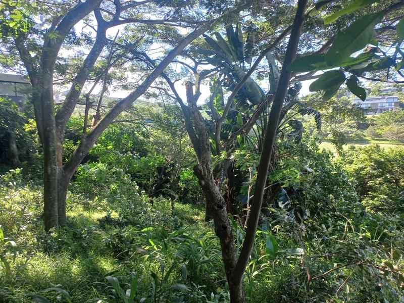0 Bedroom Property for Sale in Simbithi Eco Estate KwaZulu-Natal