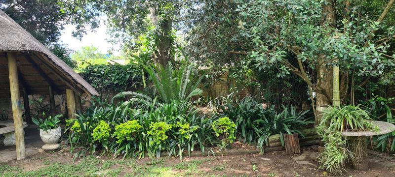 5 Bedroom Property for Sale in Dundee KwaZulu-Natal