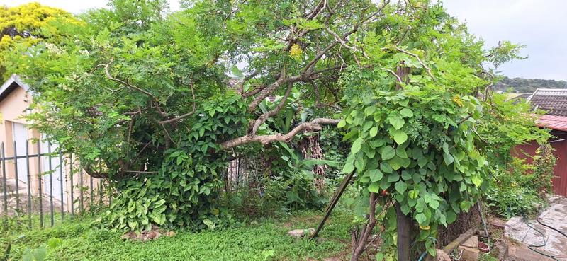 3 Bedroom Property for Sale in Craigieburn KwaZulu-Natal